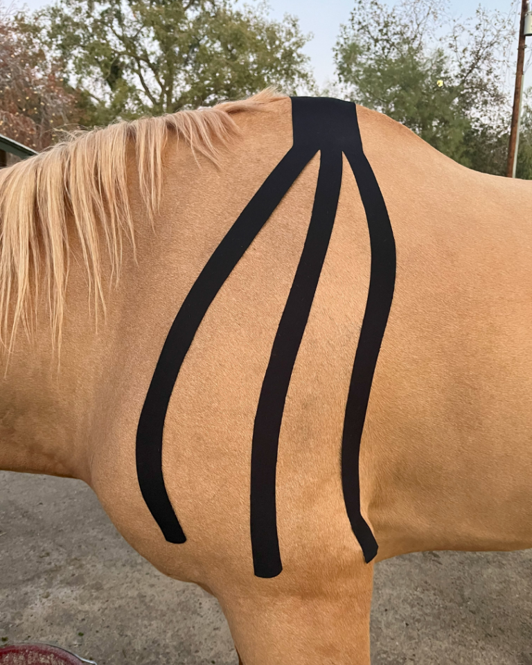 Kinesiology Taping_ calypso therapeutics