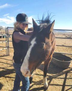 Equine Sports Massage_calypsotherapeutics