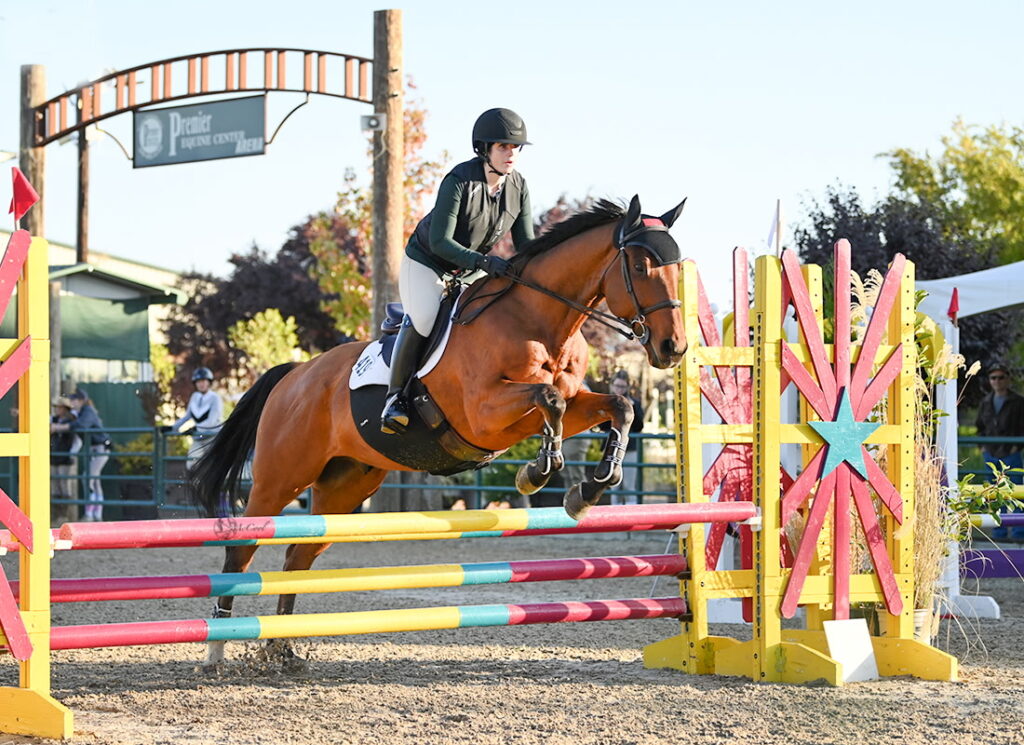 CalypsoTherapeutices_equine massage